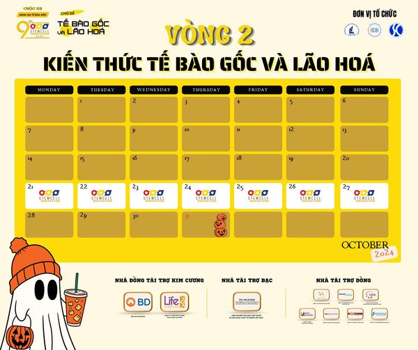 VÒNG 2: KIẾN THỨC TẾ BÀO GỐC VÀ LÃO HOÁ CHÍNH THỨC BẮT ĐẦU