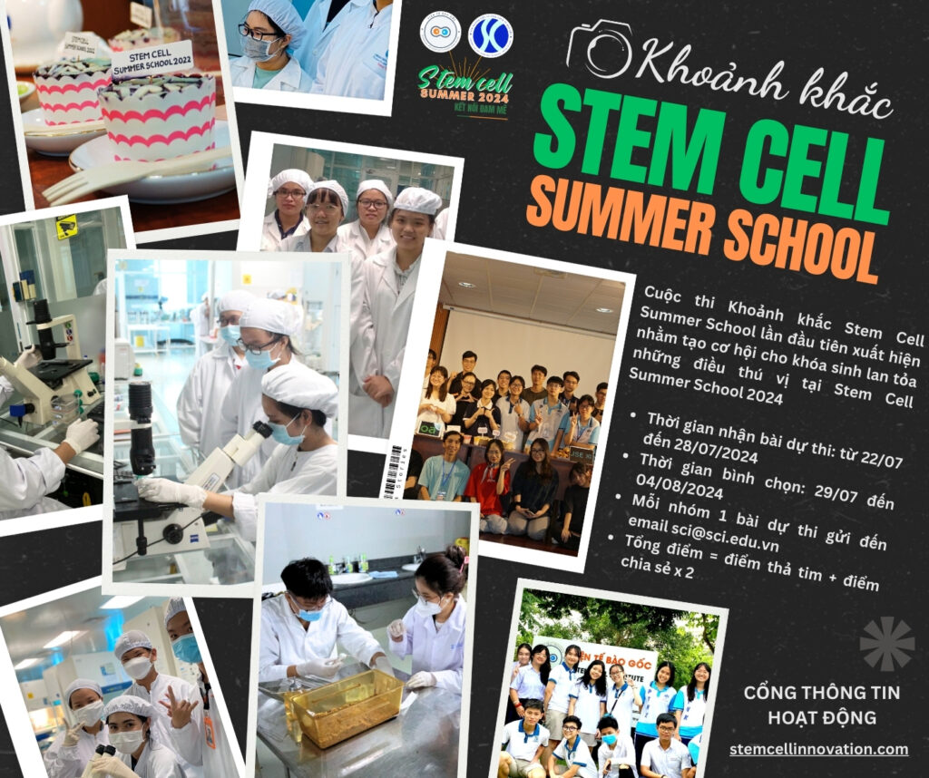 Stem Cell Summer School 2024